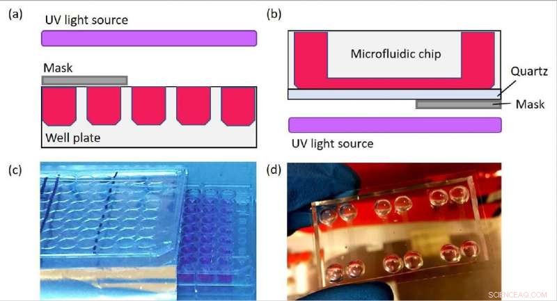 Microfluidic Devices Simplify Toxicity Screening for Cosmetics, Sunscreens, and Pharmaceuticals