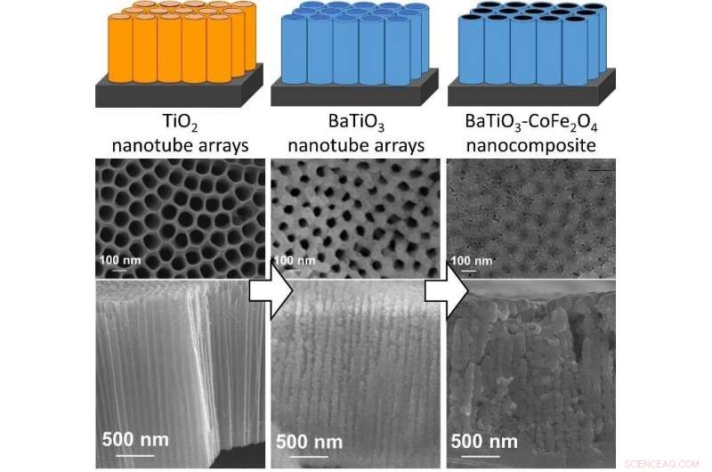 Affordable Multiferroic Nanocomposite Film Developed by Toyohashi University of Technology