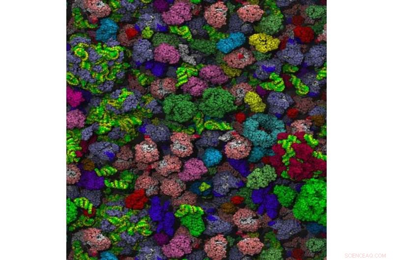 Speeding Up Particle Motion in Crowded Cellular Environments