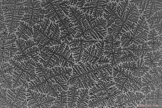 Unlocking New Possibilities with Nanoscale Materials