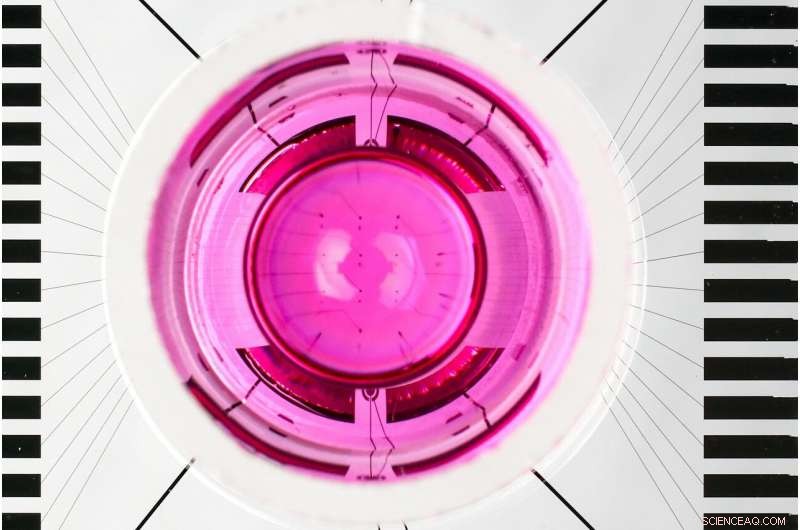 Nanovolcano Microchips: A Breakthrough Tool for Cardiac Cell Electrophysiology