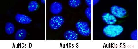 Targeted Nanotherapy: Precision Delivery of Chemotherapeutics to Eradicate Cancer Stem Cells