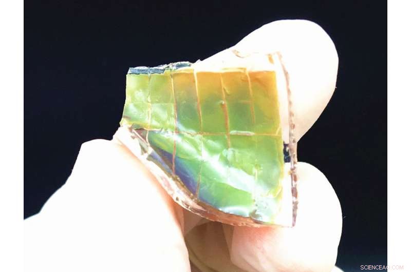 Smart Skin Mimics Chameleon’s Color Shifts, Adapting to Sunlight