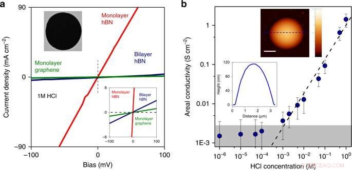 Atomic-Scale Sieve: Unveiling Proton Transport in 2D Crystals