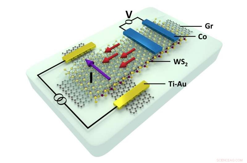 Researchers Build Fully Electronic 2‑D Spin Transistor
