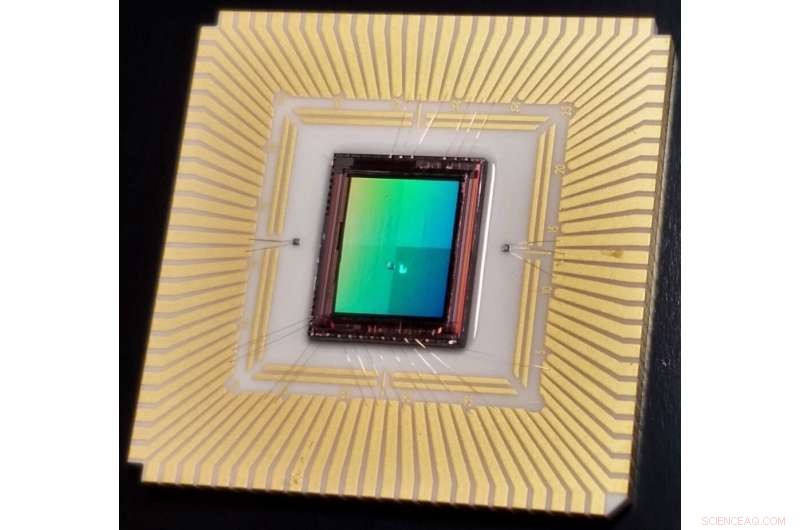 Gold Nanoantennas Boost Thermal Imaging Accuracy and Reduce Noise