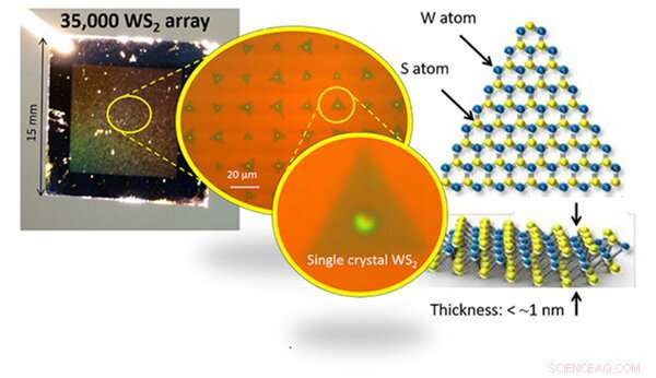 New Synthesis Mechanism for WS2 Semiconductor Atomic Sheets Revealed