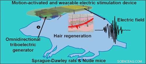 New Device Uses Gentle Electric Pulses to Stimulate Hair Growth and Reverse Baldness