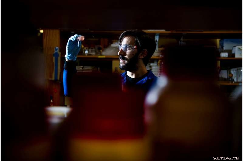 Bacteria-Engineered Nanoparticles Offer New Hope Against MRSA and Other Resistant Bacteria