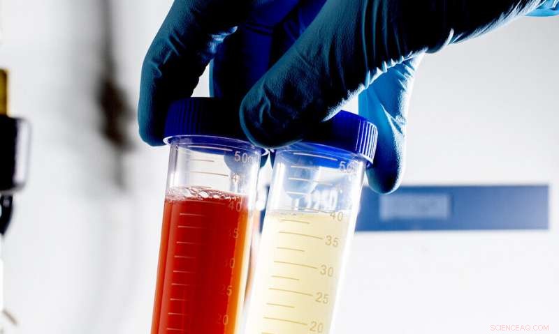 Bacteria-Engineered Nanoparticles Offer New Hope Against MRSA and Other Resistant Bacteria