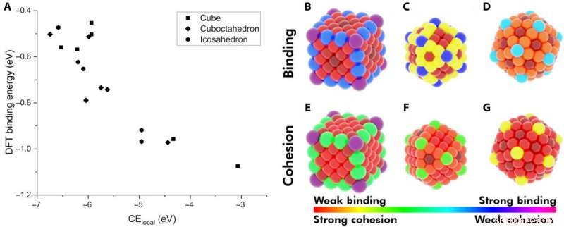 Linking Adsorption Dynamics on Metal Nanoparticles to Catalytic Performance