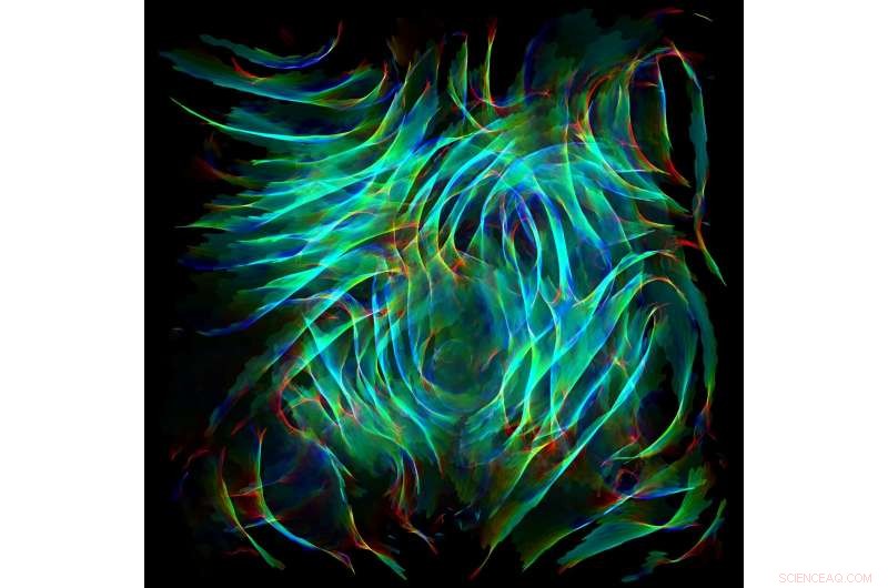 Unveiling the Topology of Disordered 3‑D Graphene Networks