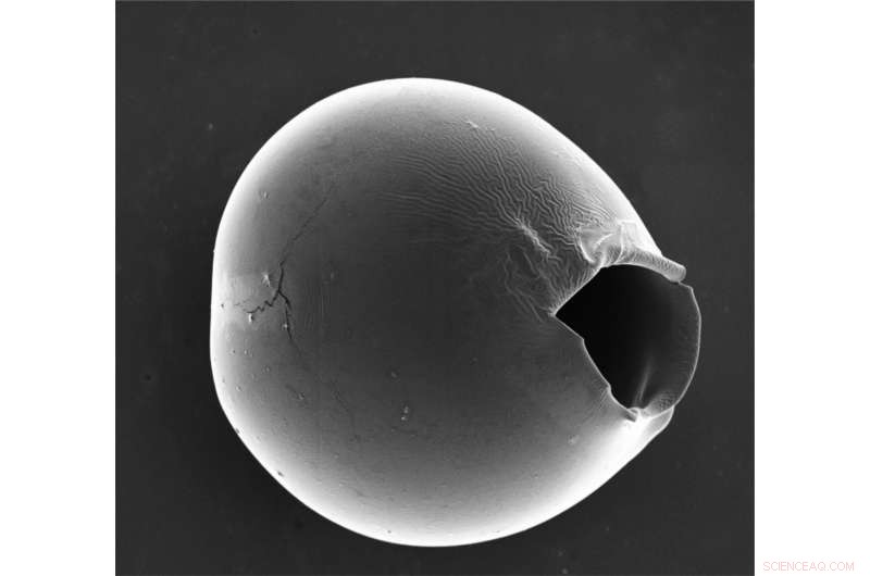 Asymmetric Microcapsules Release Drugs at Reduced Osmotic Pressures for Safer Delivery