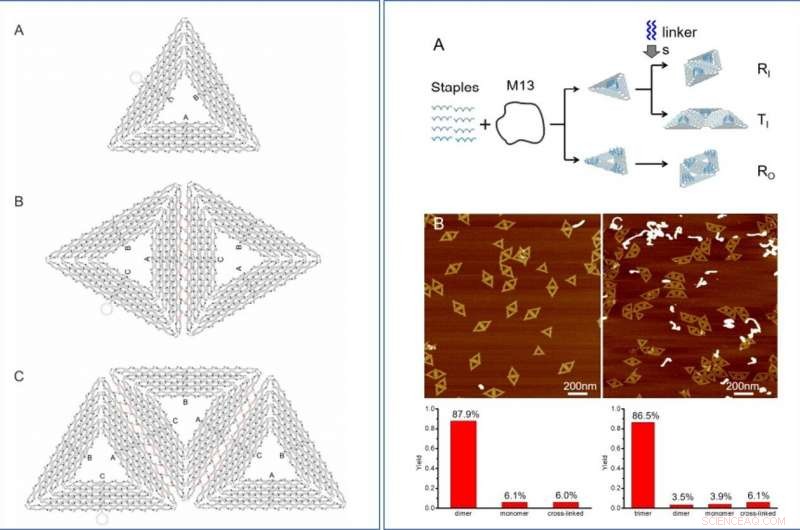 Precision Quantification of Single‑Molecule SERS Using DNA Origami Metamolecules