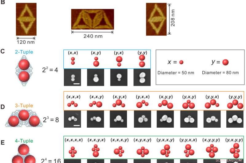 Precision Quantification of Single‑Molecule SERS Using DNA Origami Metamolecules