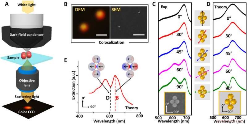 Precision Quantification of Single‑Molecule SERS Using DNA Origami Metamolecules
