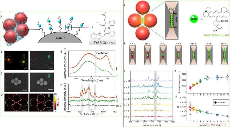 Precision Quantification of Single‑Molecule SERS Using DNA Origami Metamolecules