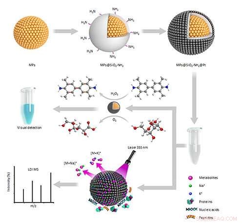 Enhanced Pancreatic Cancer Detection via a Multifunctional Platinum Nanoreactor