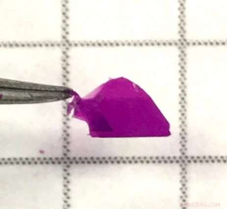 Linking Magnetic and Stacking Order in 2D Chromium Halides Unlocks Tunable Magnetism