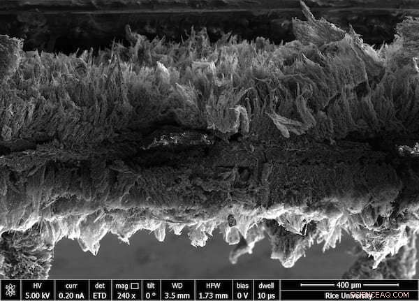 Rice University Develops Graphene Air Filter That Traps and Neutralizes Bacteria with a Gentle Electric Pulse