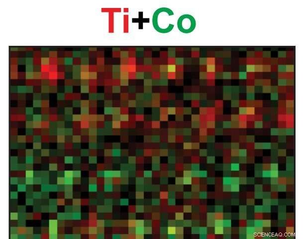 Yale & Brookhaven Unveil New Layered Cobalt‑Titanium Material via STEM Imaging