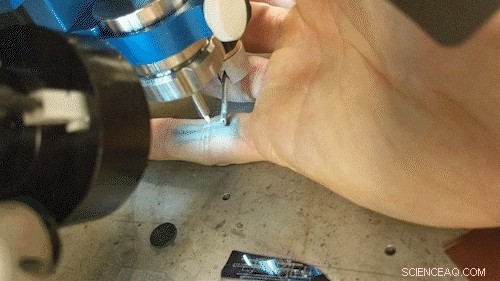 Duke Engineers Pioneer Gentle Print‑in‑Place Electronics for Skin‑Friendly Tattoos and Biosensors