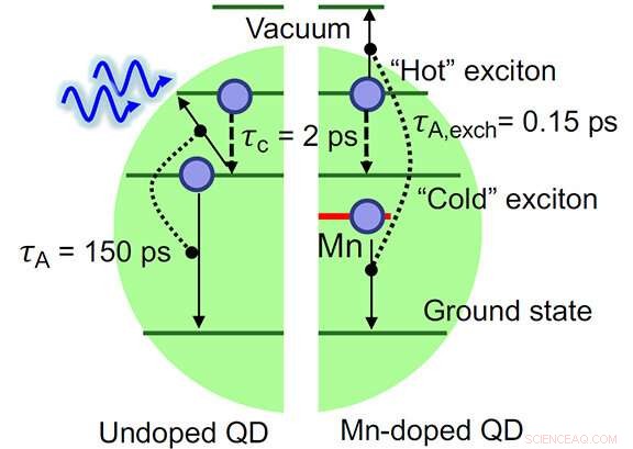 Magnetically-Doped Quantum Dots Efficiently Harvest Light Energy, Minimizing Heat Loss