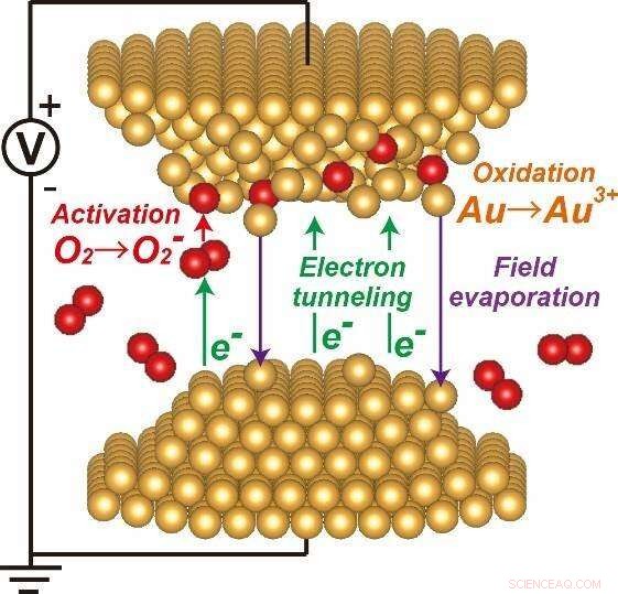 Real‑World Atomic Migration on Metal Surfaces Under Ambient Conditions