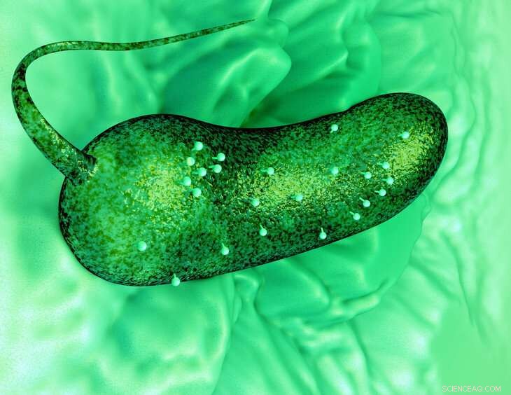 Scientists Achieve First 3‑D View of Living Processes in Liquid