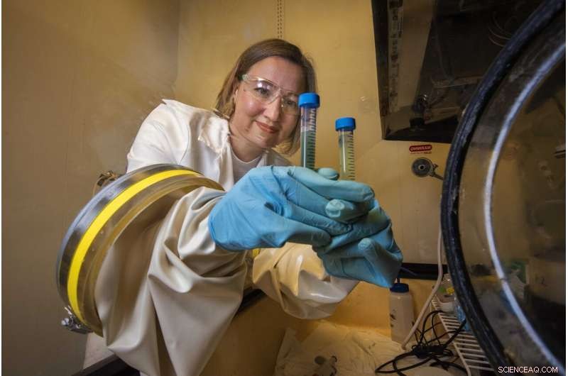 New Study Reveals How Iron in Clay Soils Can Immobilize Arsenic