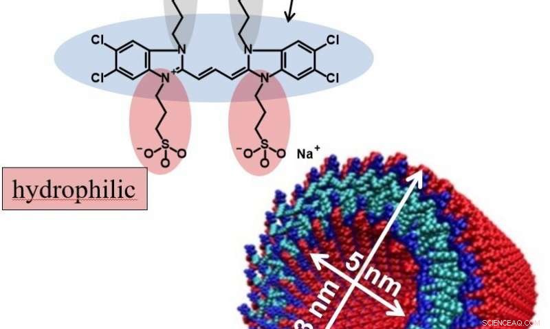 Investigating Energy Transfer in Biomimetic Double-Walled Nanotubes