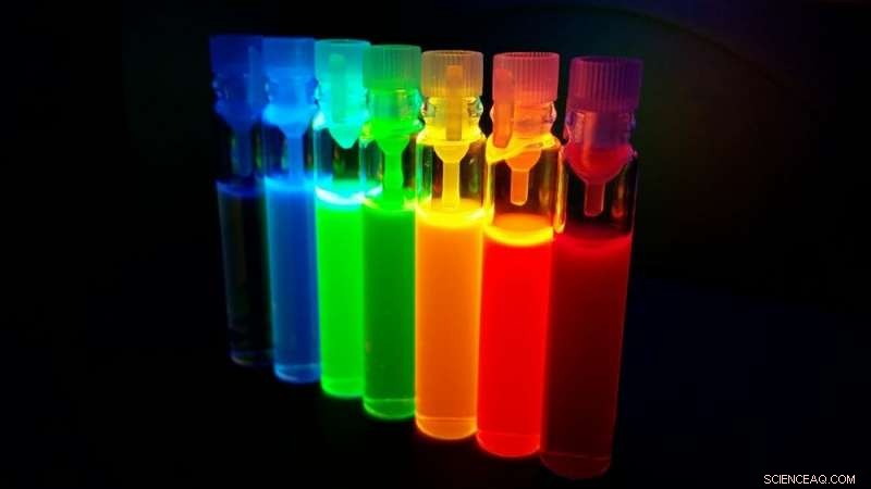 Quantum Dots Illuminating TVs Offer New Pathways in Brain Research