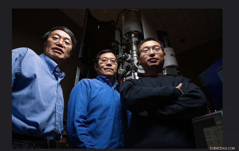 Scientists Identify Root Cause of Dendrite & Whisker Growth in Lithium Batteries