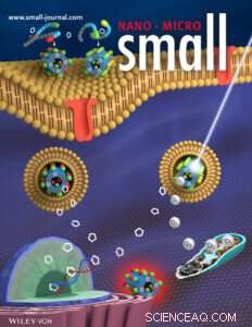 Peptoid Nanotube Technology Boosts Targeted Cancer Treatment