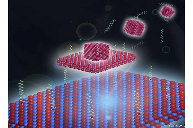 Shaping 2‑D Materials: How a Cobalt‑Oxide Nanoparticle Transforms into a Nanosheet