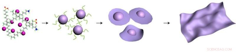 Shaping 2‑D Materials: How a Cobalt‑Oxide Nanoparticle Transforms into a Nanosheet