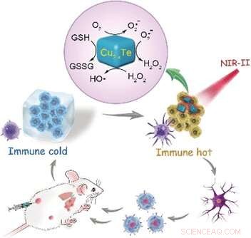 Advanced Catalytic Immunotherapy: Copper Telluride Nanoparticles Mimic Enzymes to Target Cancer