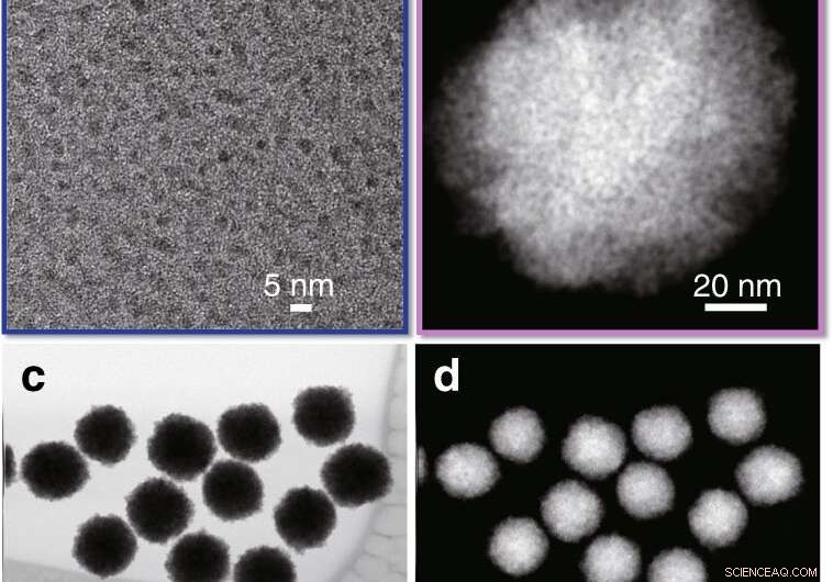 Bio-Inspired Nanocatalyst Directs Precise Chiral Reactions