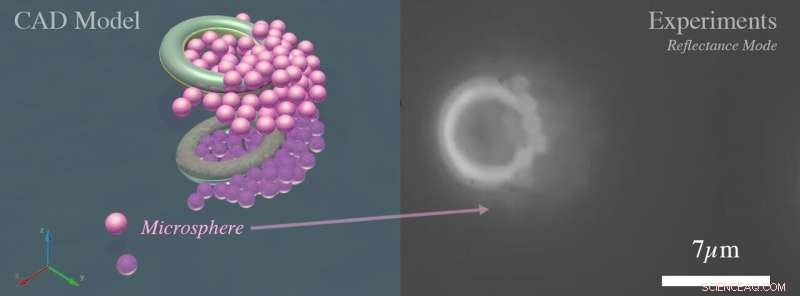 Microtori: Tiny Magnetic Swimmers That Efficiently Capture Particles