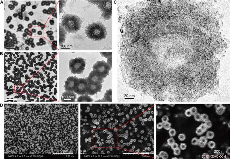 Gold-DNA Nanosunflowers: Enhanced Gene Silencing & Targeted Tumor Therapy