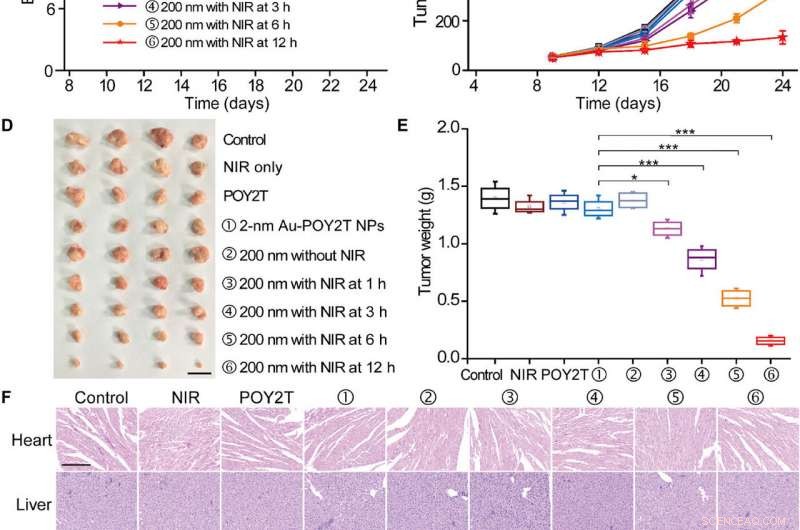 Gold-DNA Nanosunflowers: Enhanced Gene Silencing & Targeted Tumor Therapy