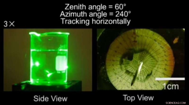 Synthetic Sunflower Mimics Sun-Tracking: A Breakthrough in Responsive Materials