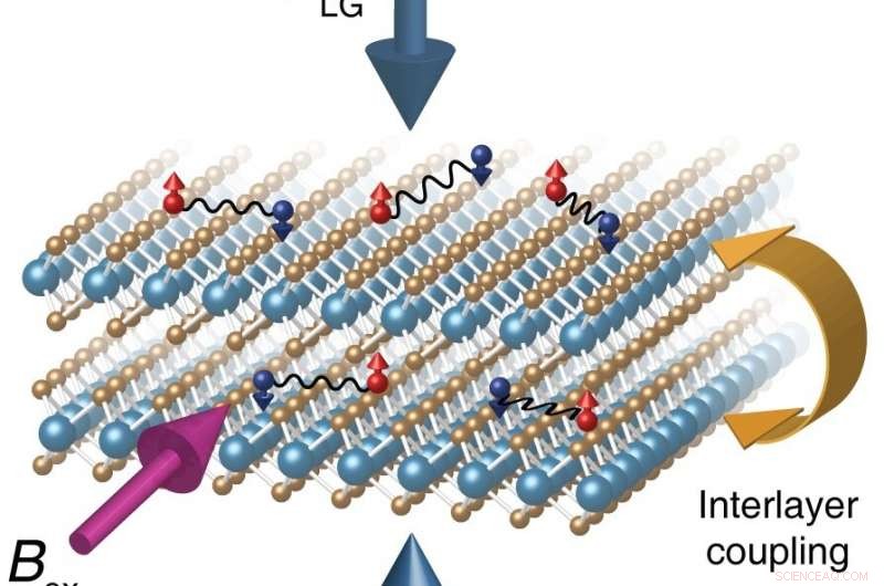 Suspended MoS₂ Layers Enable Exceptional Superconductivity