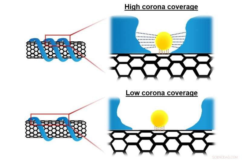 SMART Unveils Innovative Technique to Map Nanoparticle Surfaces, Accelerating Nanomaterial Engineering