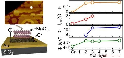 Epitaxial Molybdenum Oxide: A Bulk‑Like 2‑D Dielectric Layer for Next‑Generation Electronics