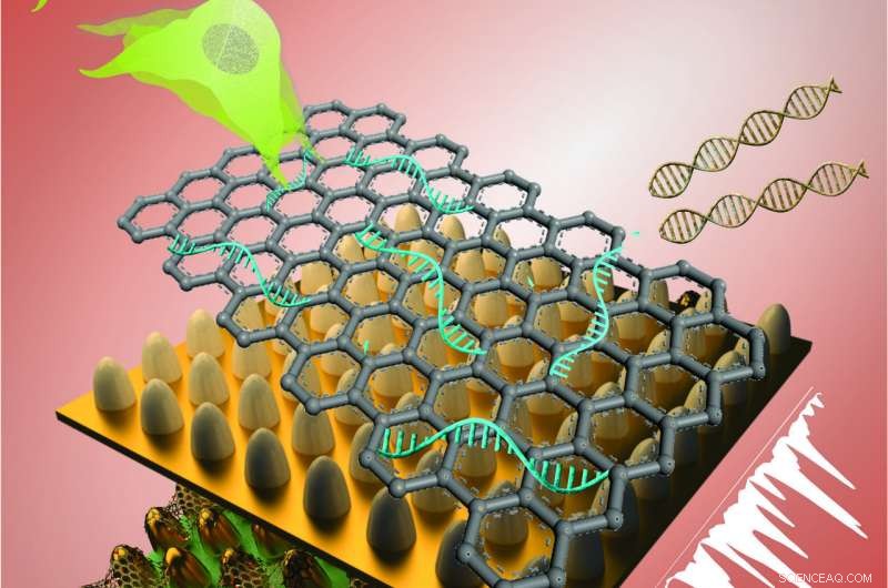 Advanced Graphene‑Gold Biosensor Enhances Stem Cell Detection
