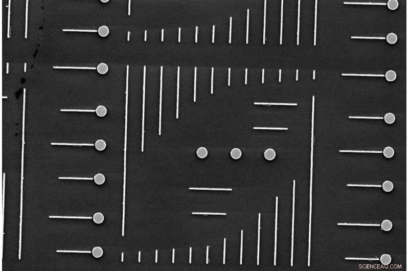 Researchers Use Gold Nanolollipops to Observe Elusive Nanoscale Interference
