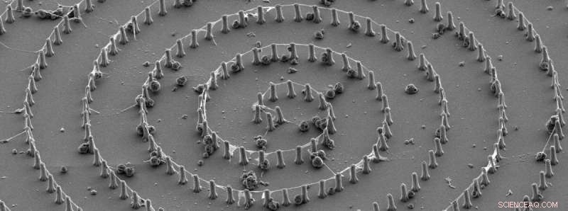 Carbon Nanotubes Enable Precise Guidance of Neural Cell Growth for Neuroscience