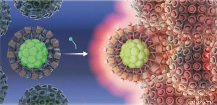 Stabilizing Ligands Significantly Brighten Metal Nanoclusters