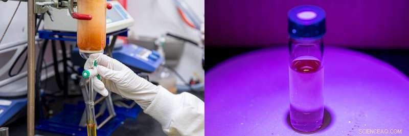 Stabilizing Ligands Significantly Brighten Metal Nanoclusters